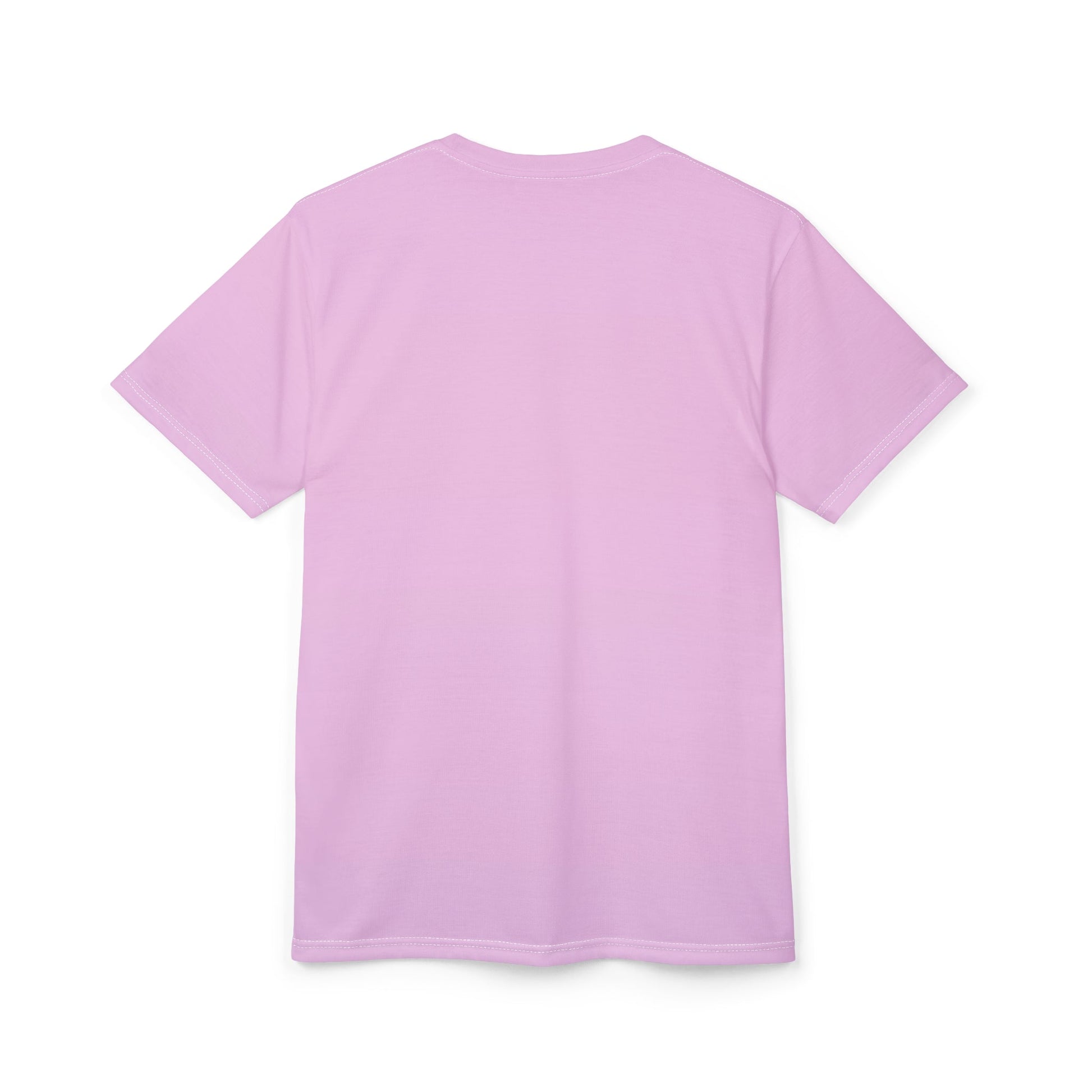 Summer 2025 Unisex Tee Printify